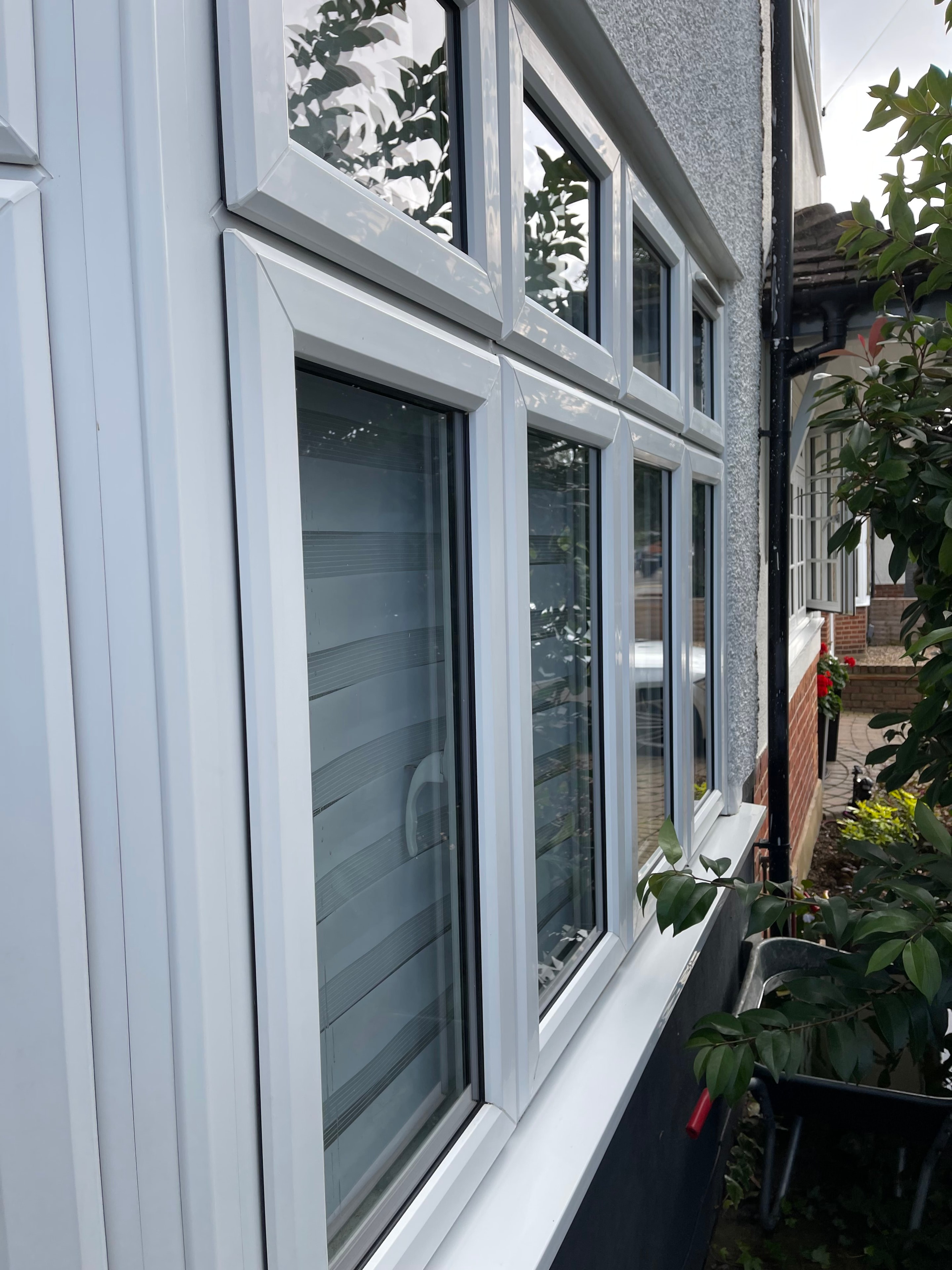 Freshly cleaned skylight windows